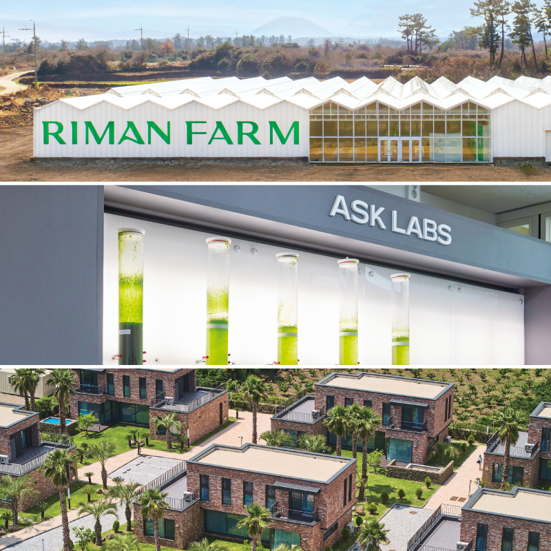 RIMAN innovation visual
