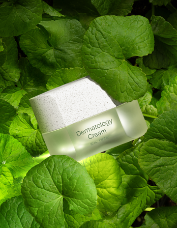 Incellderm Dermatology Cream