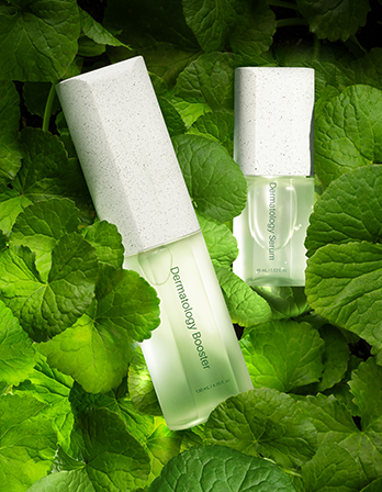 Incellderm Dermatology First Package